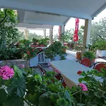 Pansion Croatia 斯塔利格拉德-帕克利尼卡