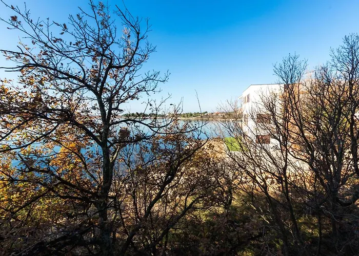 Nocleg ze śniadaniem Pansion Croatia Starigrad Paklenica